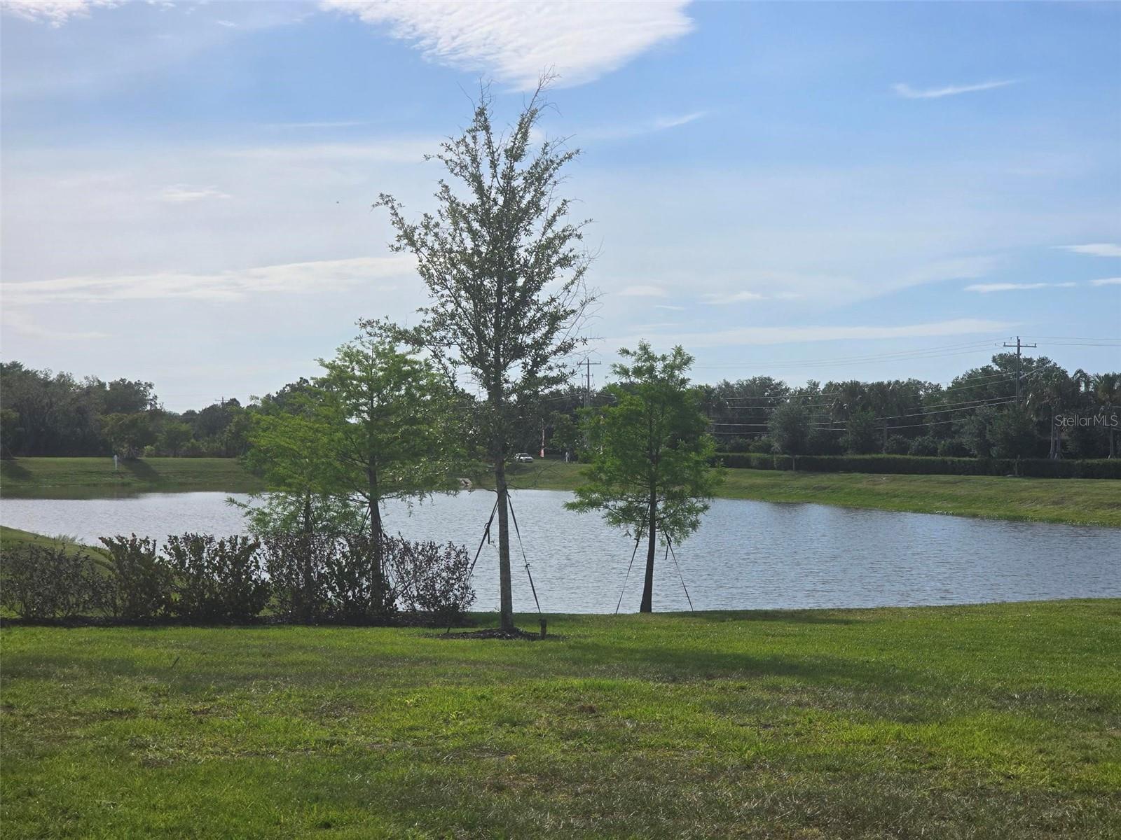 13031 BLUFF OAK WAY, PARRISH, FL, 34219