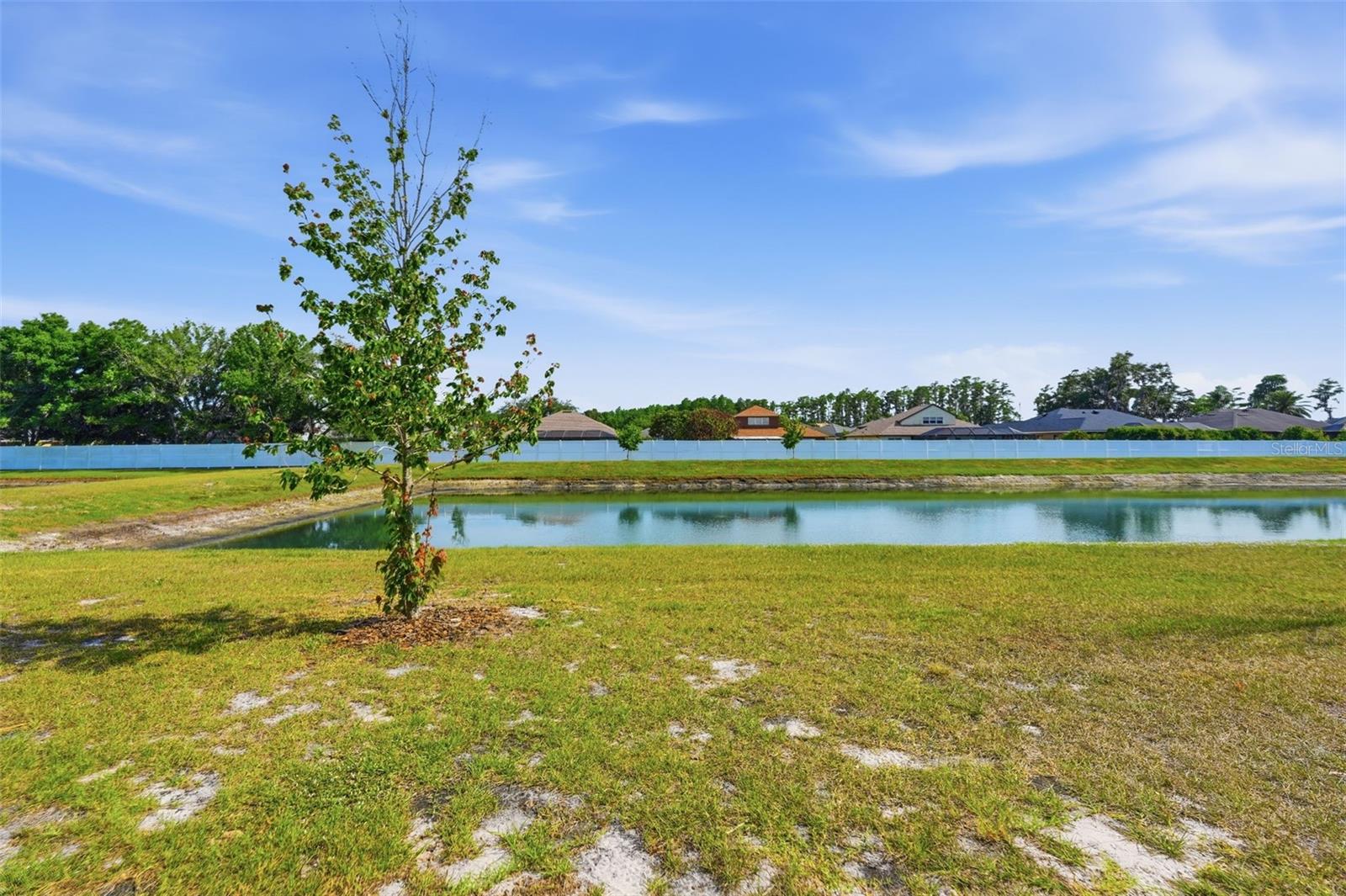 6010 SHINER ST, LAND O LAKES, FL, 34638