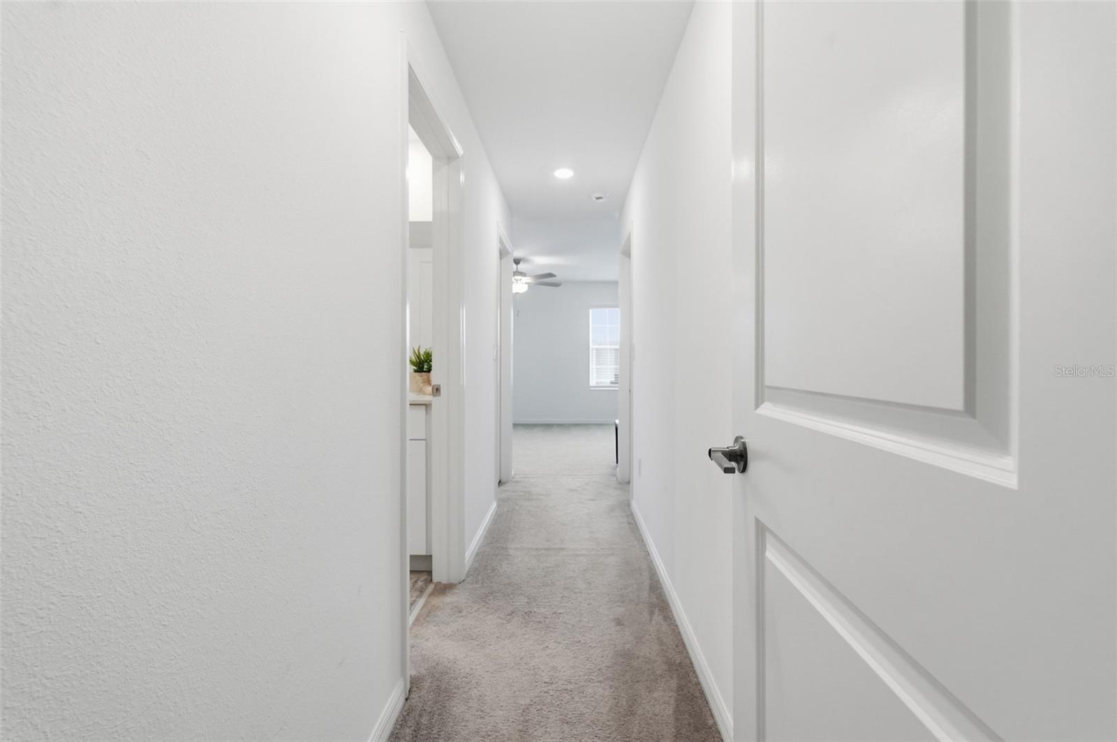 6010 SHINER ST, LAND O LAKES, FL, 34638