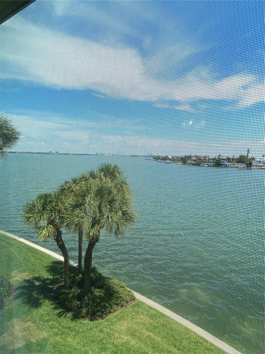 4617 MIRABELLA CT #4617, ST PETE BEACH, FL, 33706
