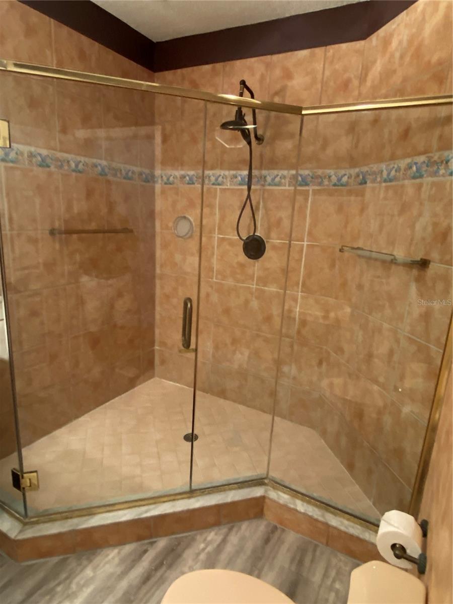 4617 MIRABELLA CT #4617, ST PETE BEACH, FL, 33706