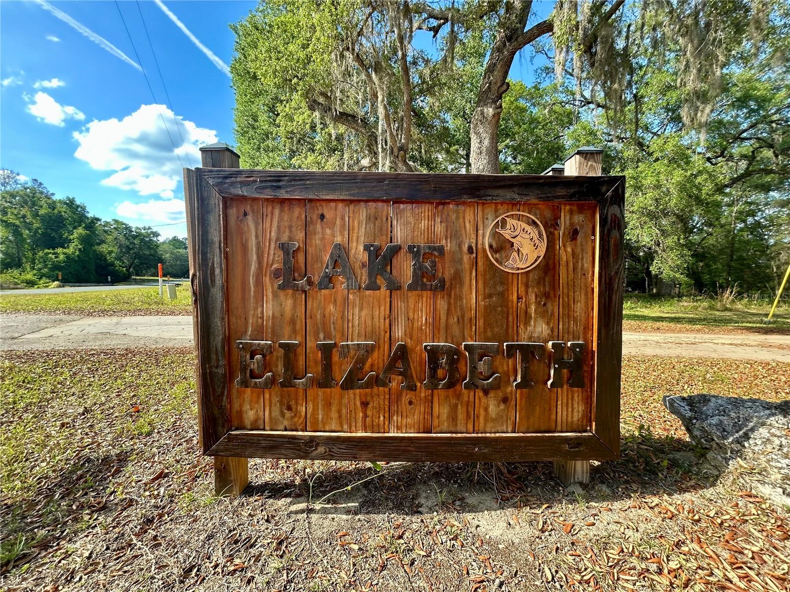 4819 NE 211TH DR, EARLETON, FL, 32631