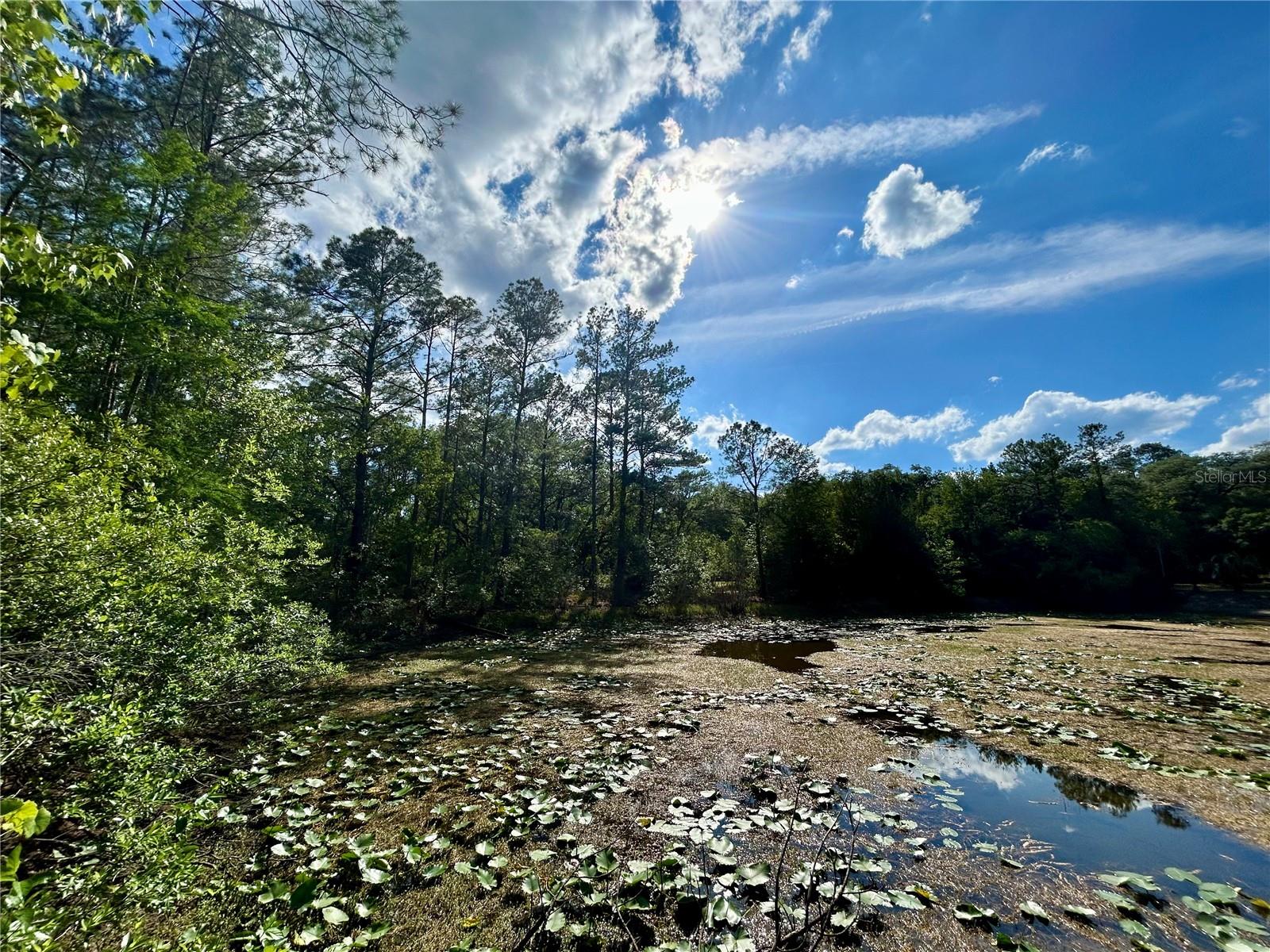 4819 NE 211TH DR, EARLETON, FL, 32631