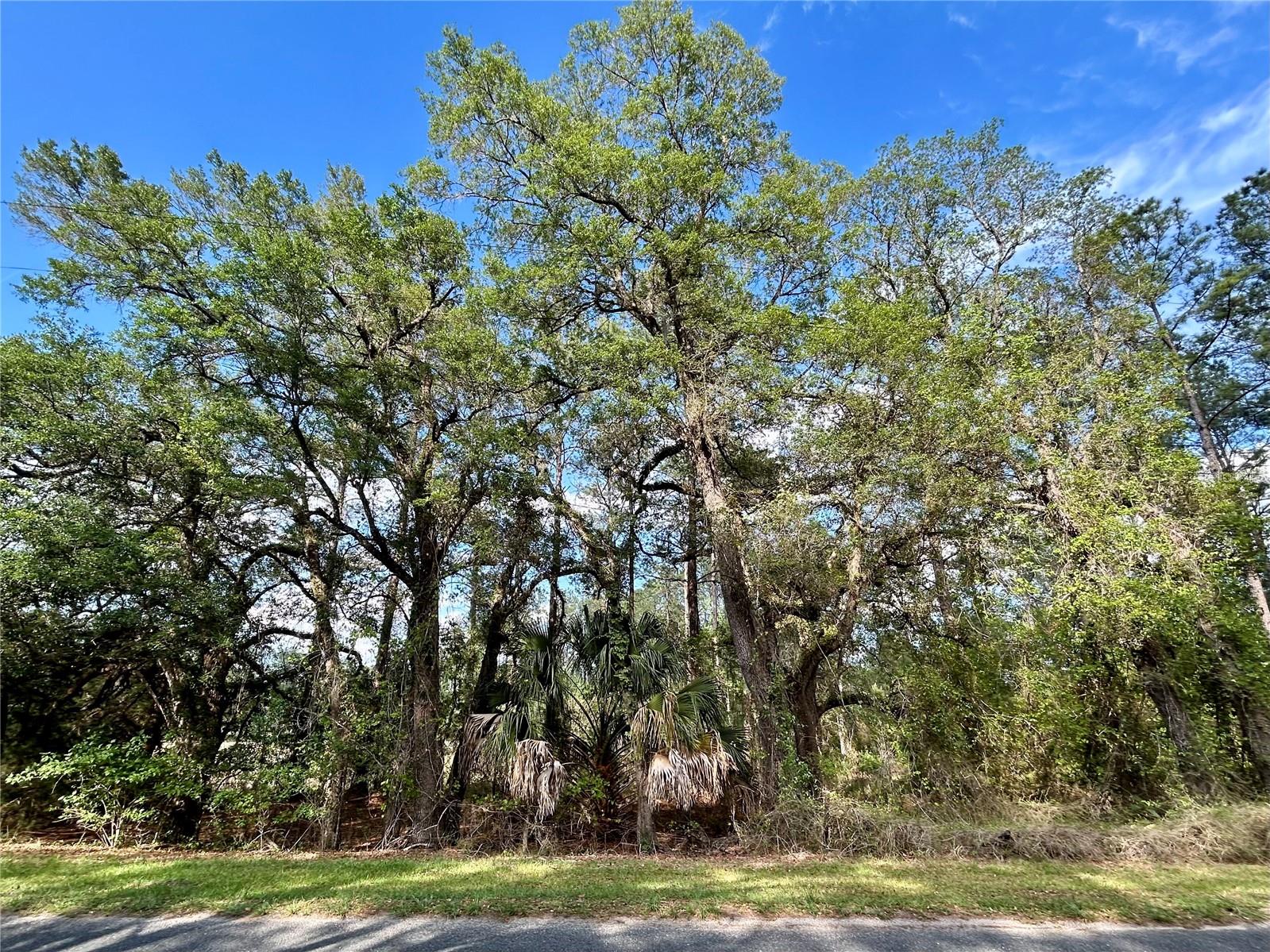 4819 NE 211TH DR, EARLETON, FL, 32631