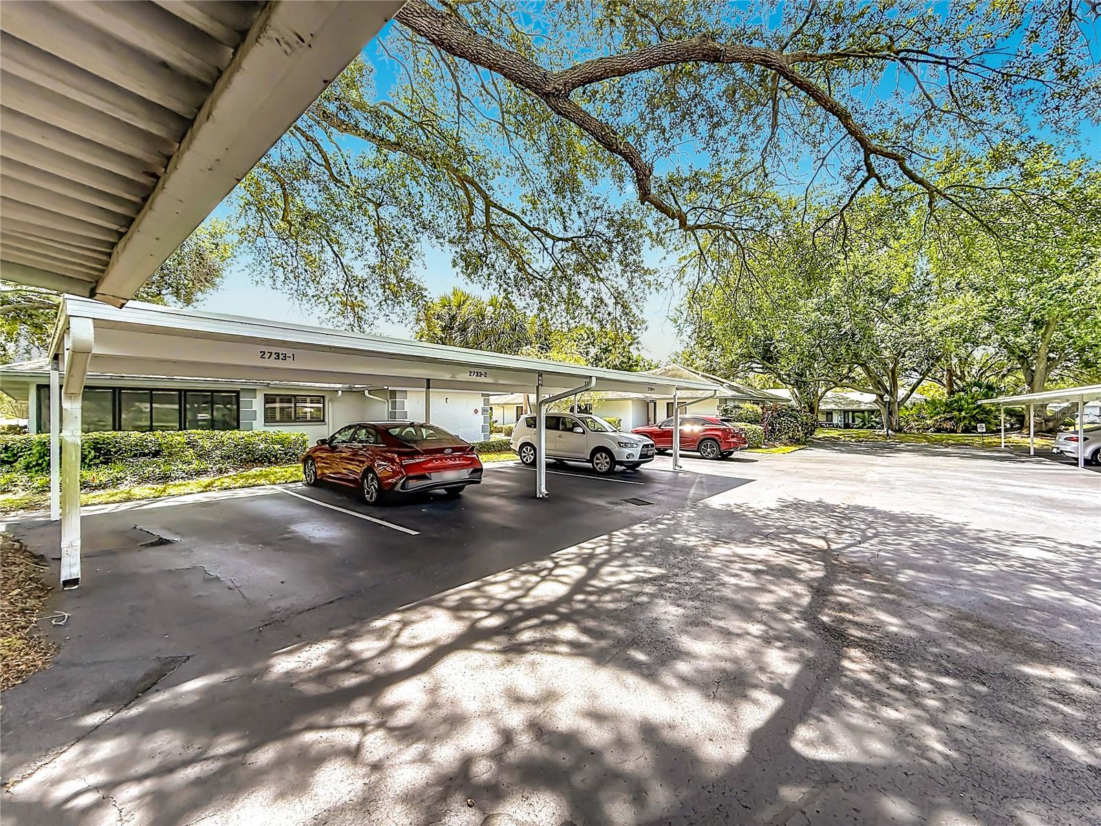 2733 COUNTRYSIDE BLVD #105, CLEARWATER, FL, 33761