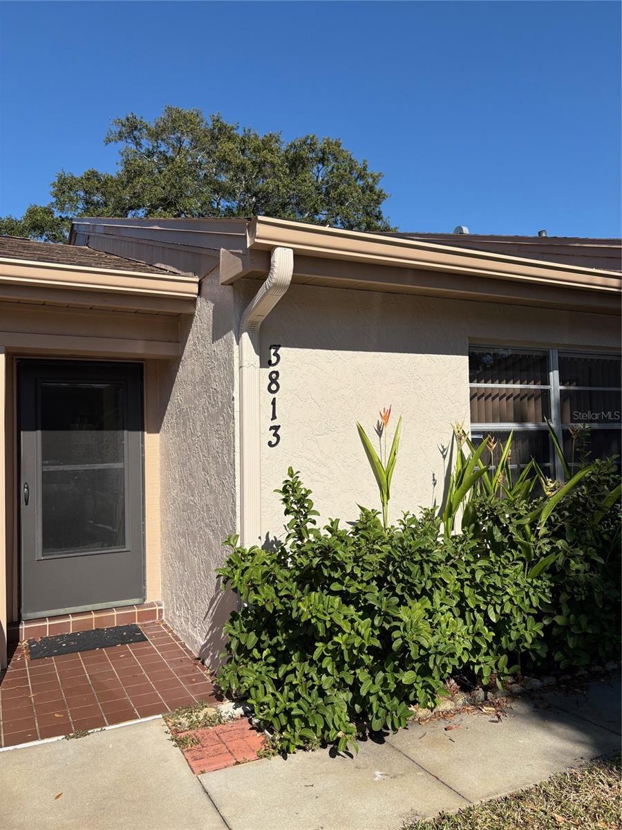 3813 STAYSAIL LN, HOLIDAY, FL, 34691