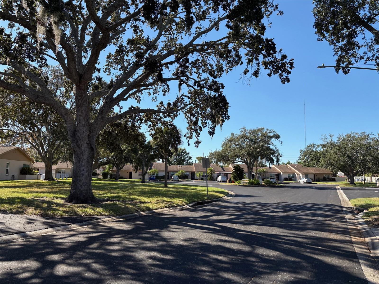 3813 STAYSAIL LN, HOLIDAY, FL, 34691