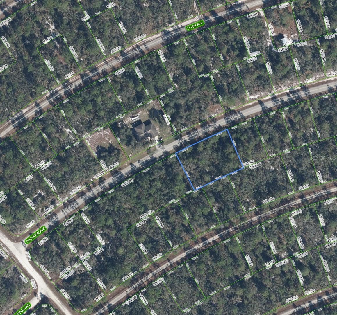 3122 COOLIDGE AVE, LAKE PLACID, FL, 33852
