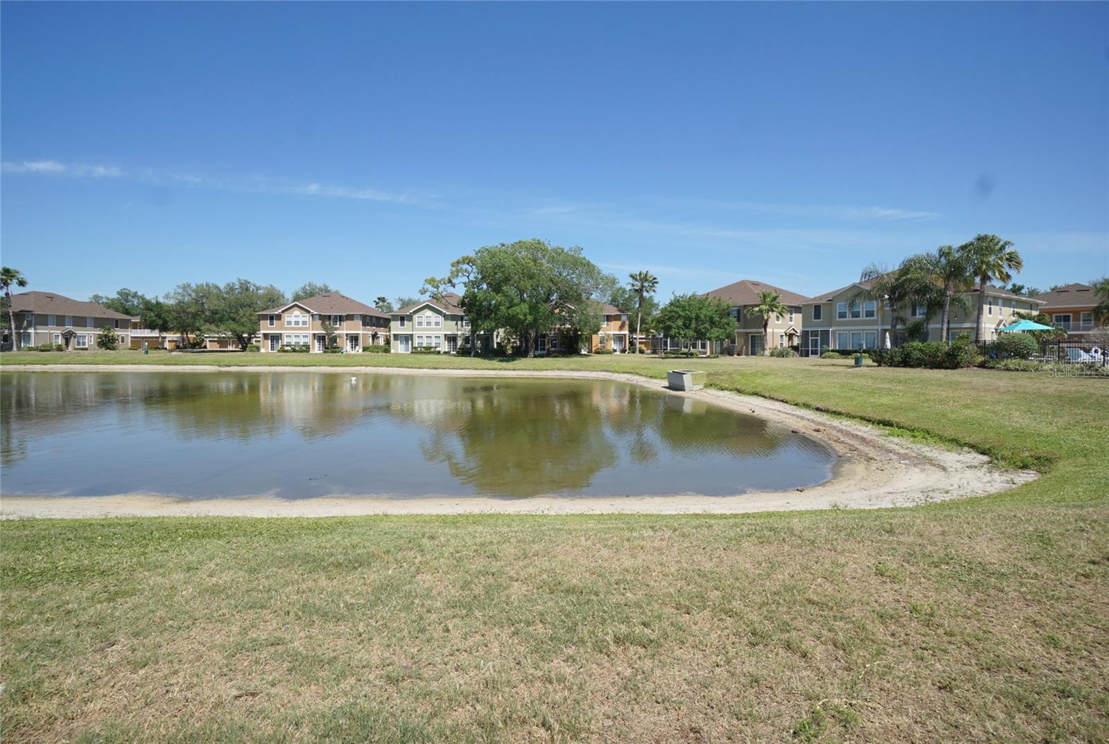 7001 INTERBAY BLVD #336, TAMPA, FL, 33616