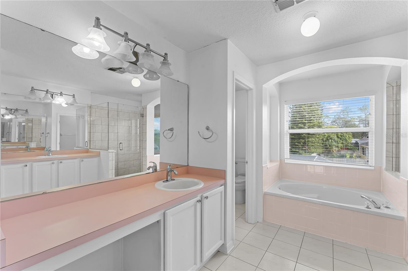 617 LAKESCAPE CT, ORLANDO, FL, 32828