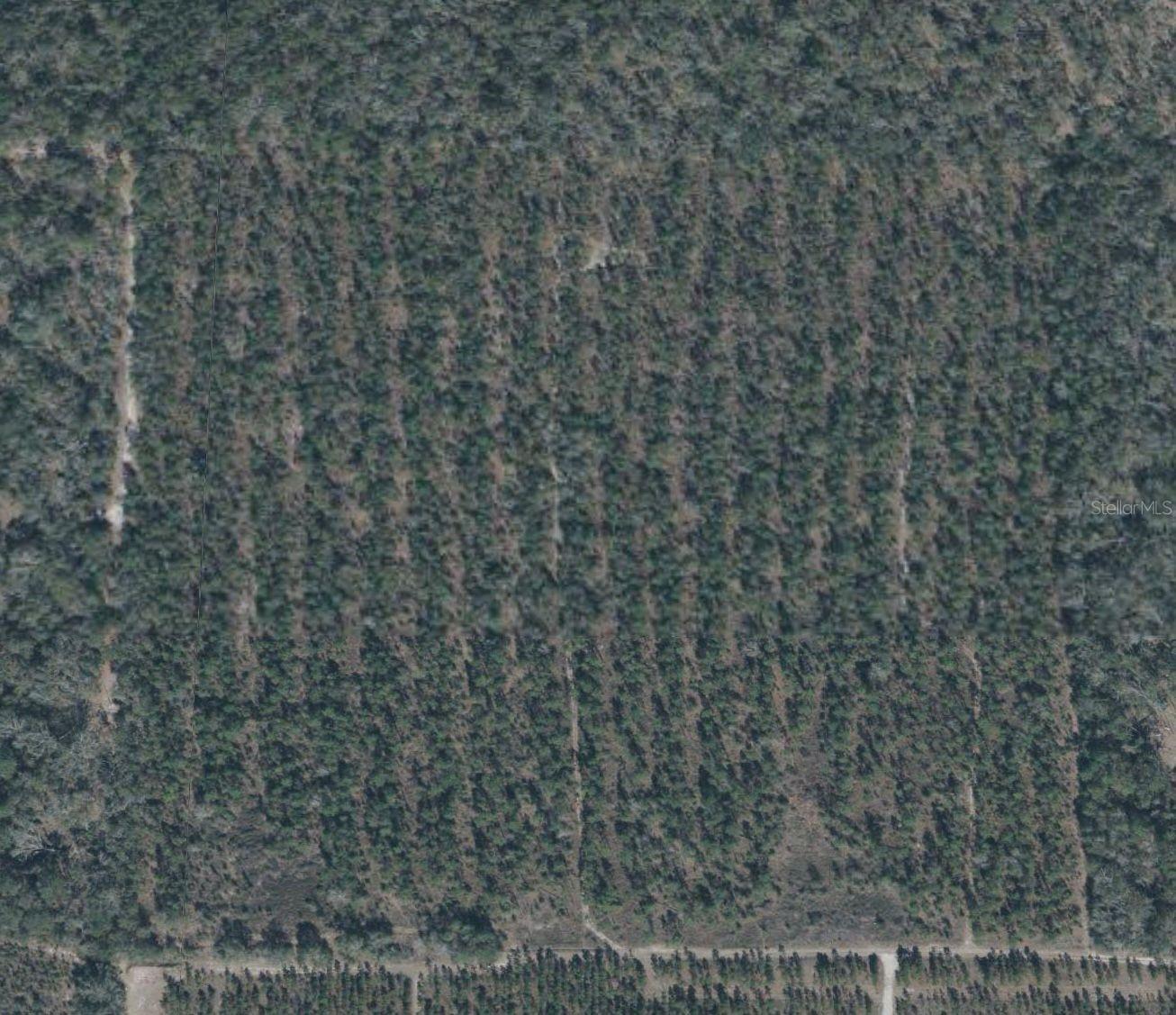 64TH PLACE, LIVE OAK, FL, 32060