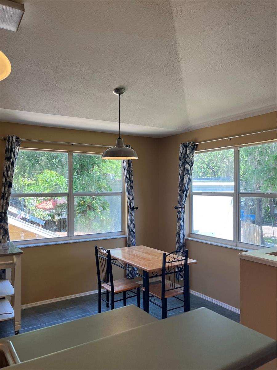 520 E AMELIA ST, ORLANDO, FL, 32803