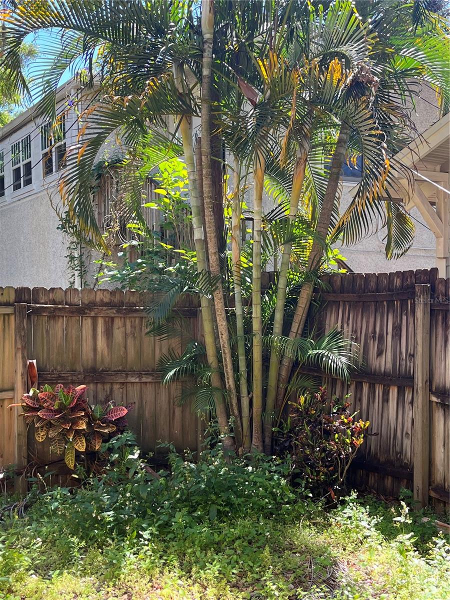 520 E AMELIA ST, ORLANDO, FL, 32803