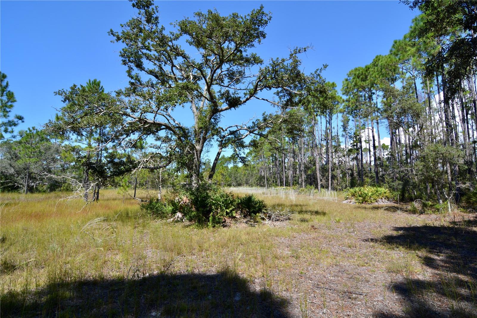 KEY DEER CT,, PERRY, FL, 32348