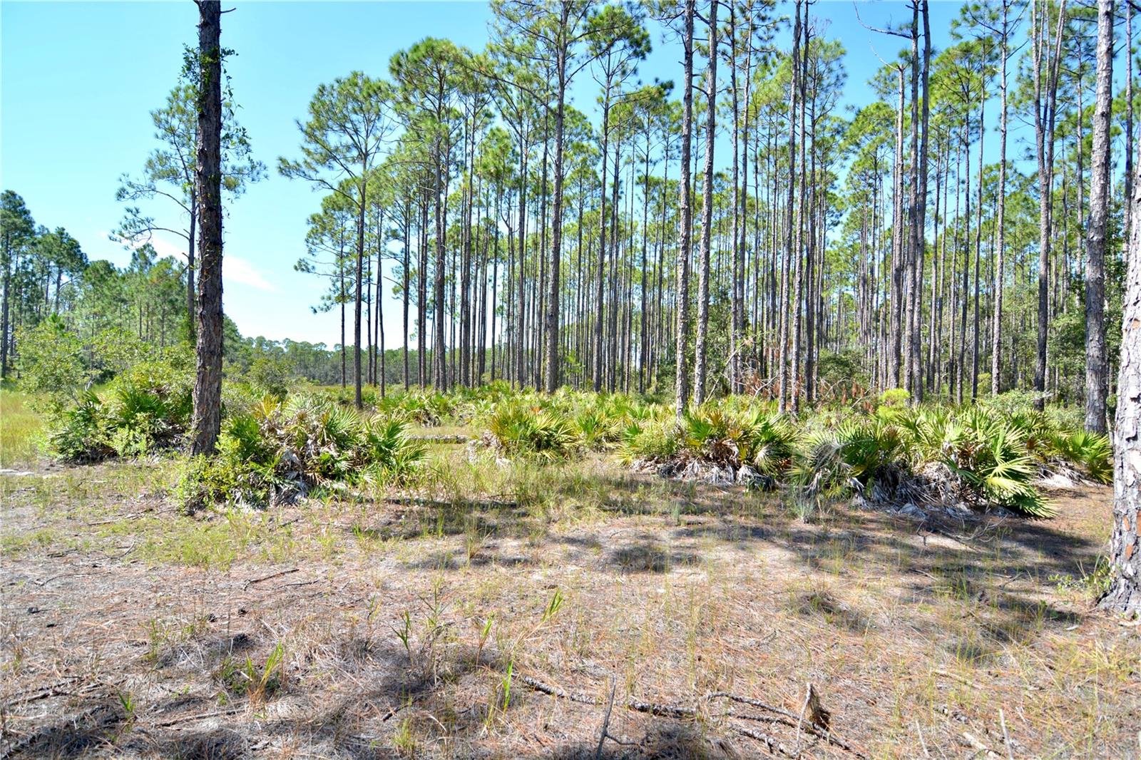 KEY DEER CT,, PERRY, FL, 32348