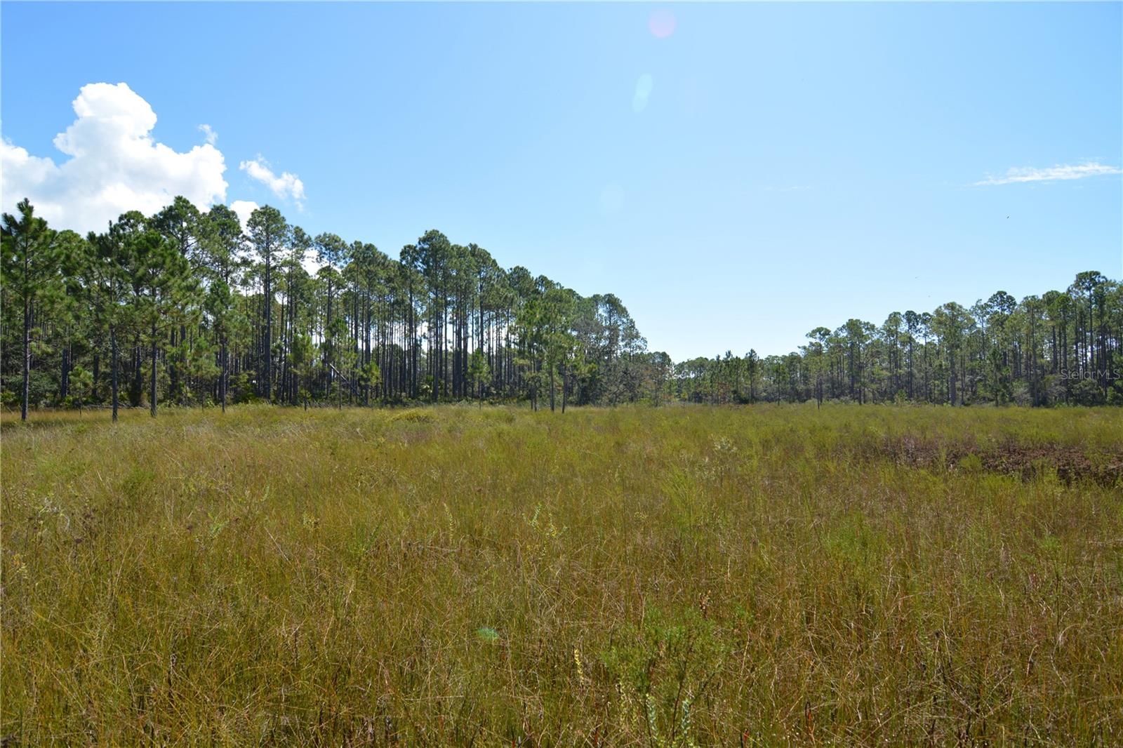 KEY DEER CT,, PERRY, FL, 32348