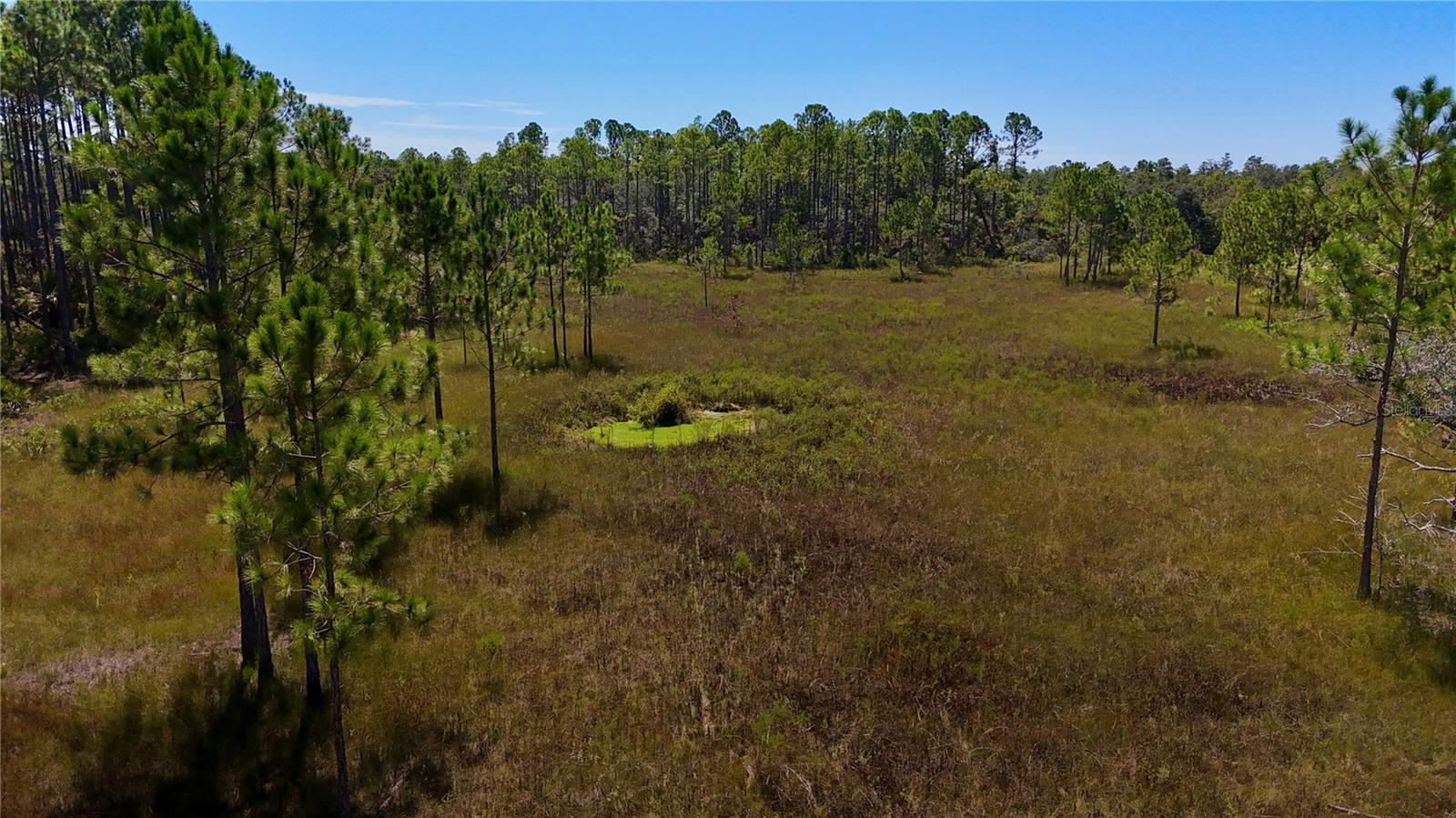 KEY DEER CT,, PERRY, FL, 32348