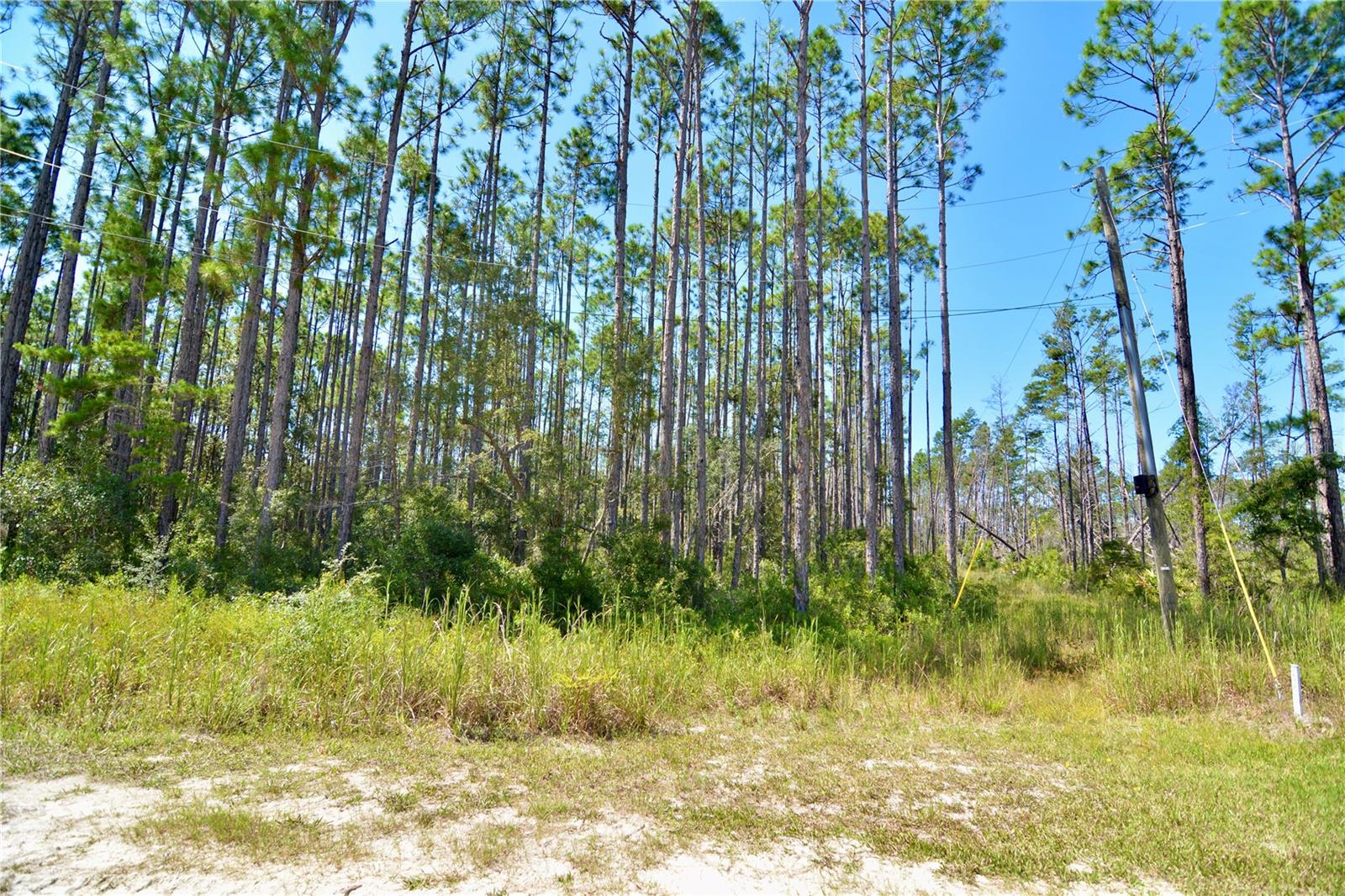 KEY DEER CT,, PERRY, FL, 32348