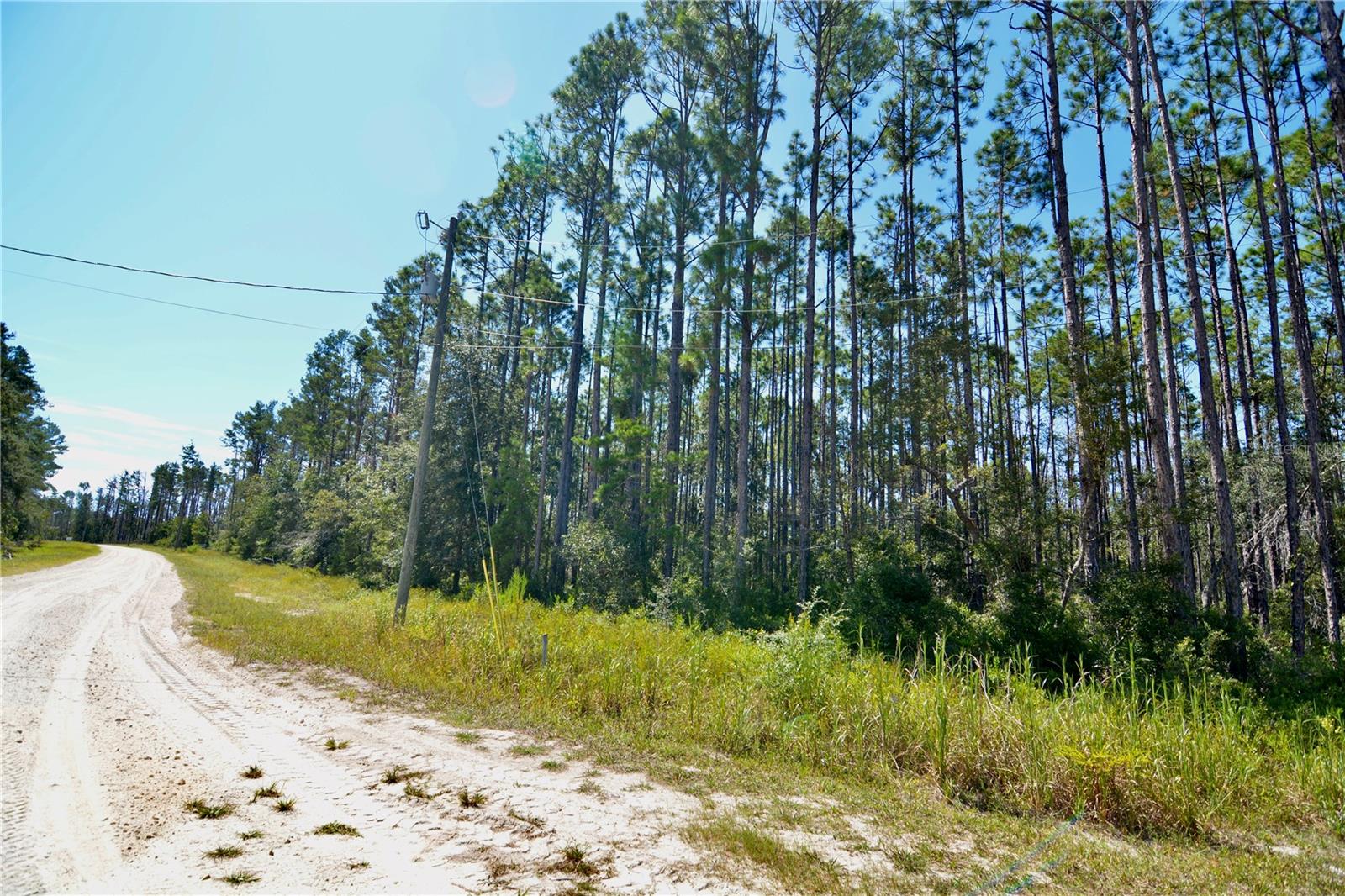 KEY DEER CT,, PERRY, FL, 32348