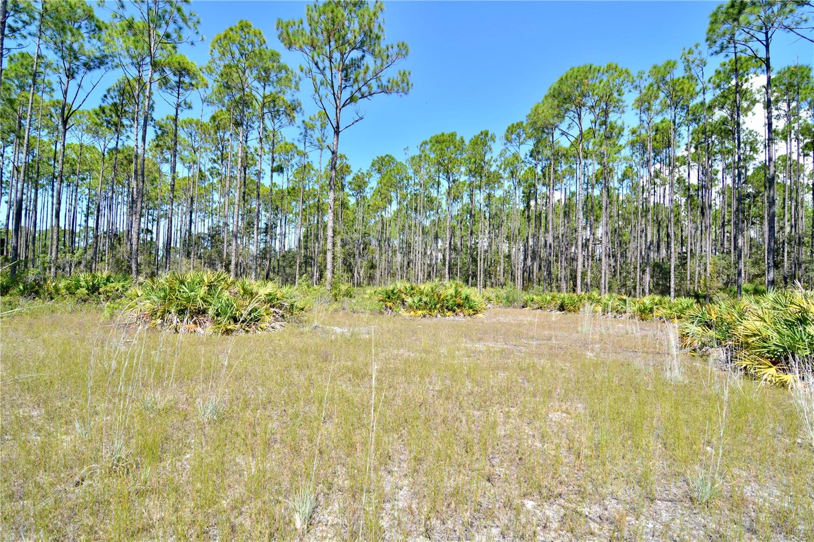 KEY DEER CT,, PERRY, FL, 32348