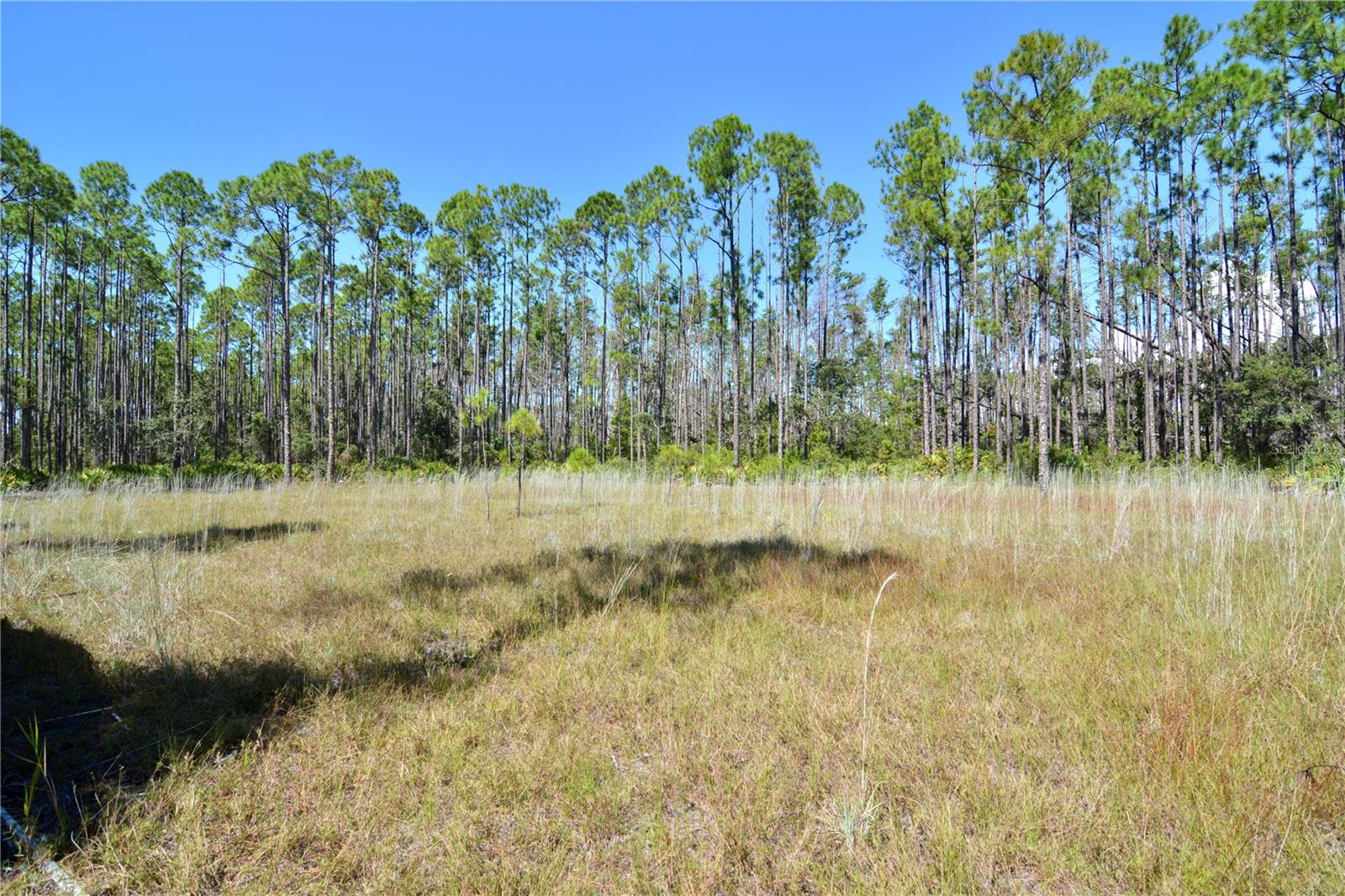 KEY DEER CT,, PERRY, FL, 32348