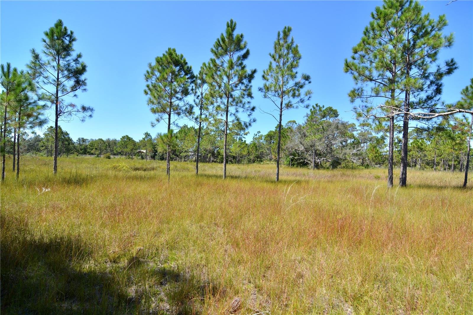KEY DEER CT,, PERRY, FL, 32348