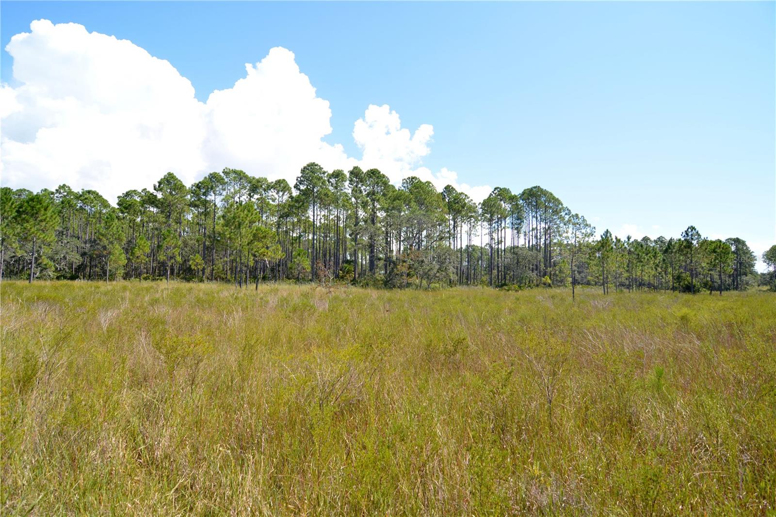 KEY DEER CT,, PERRY, FL, 32348