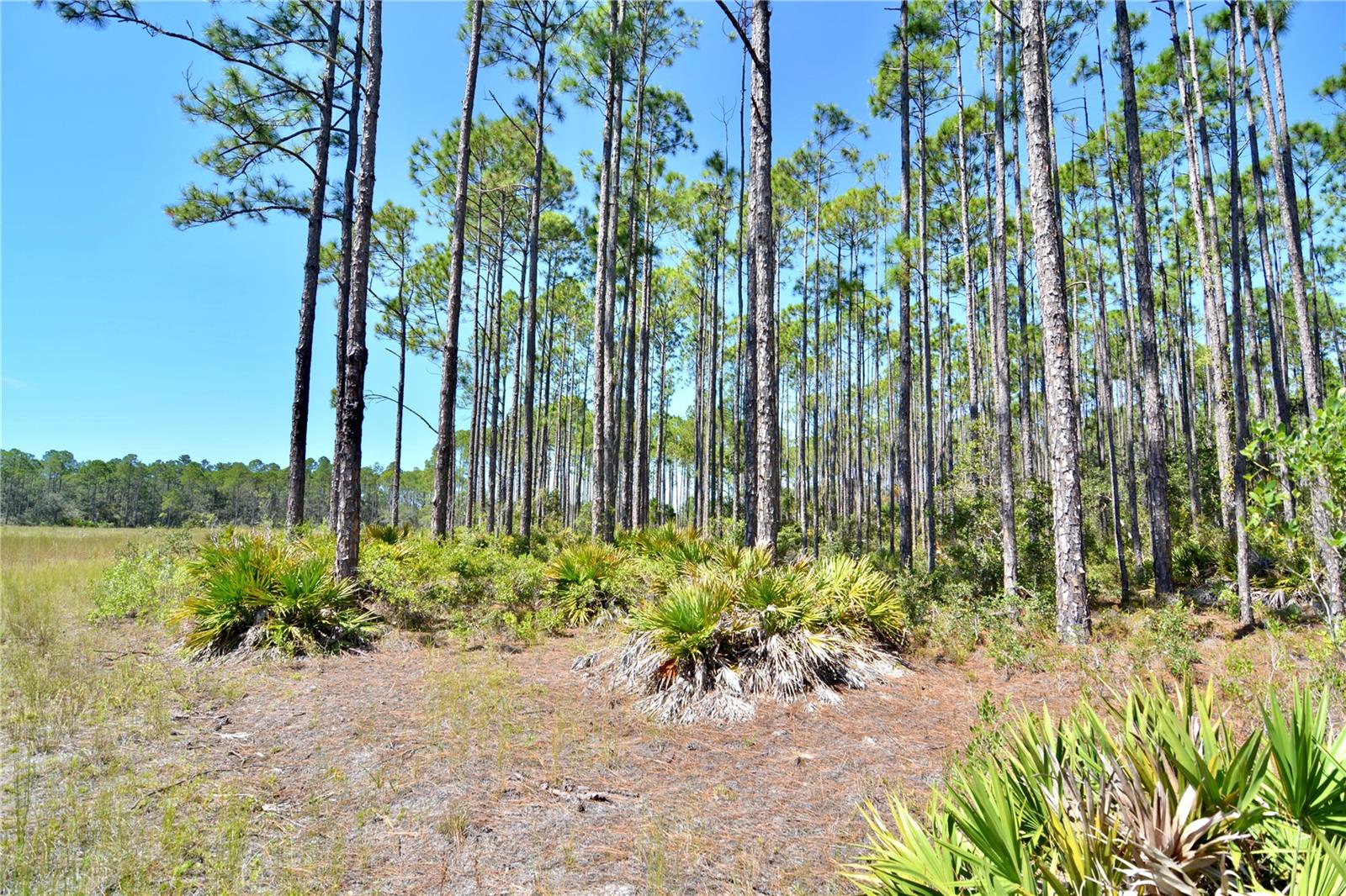 KEY DEER CT,, PERRY, FL, 32348