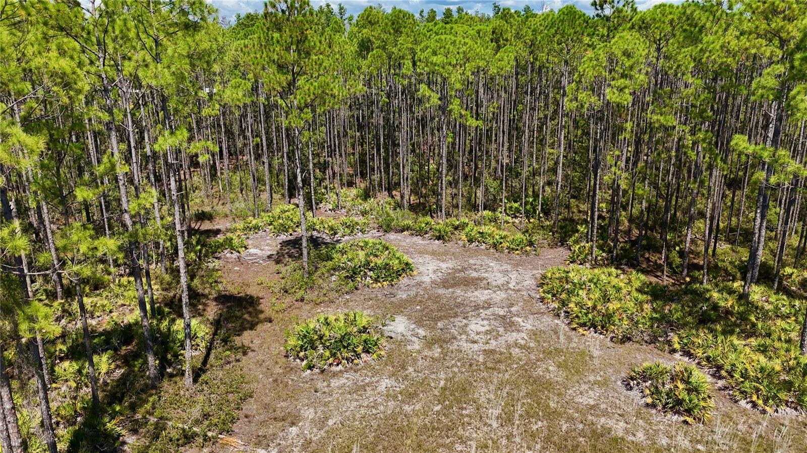KEY DEER CT,, PERRY, FL, 32348