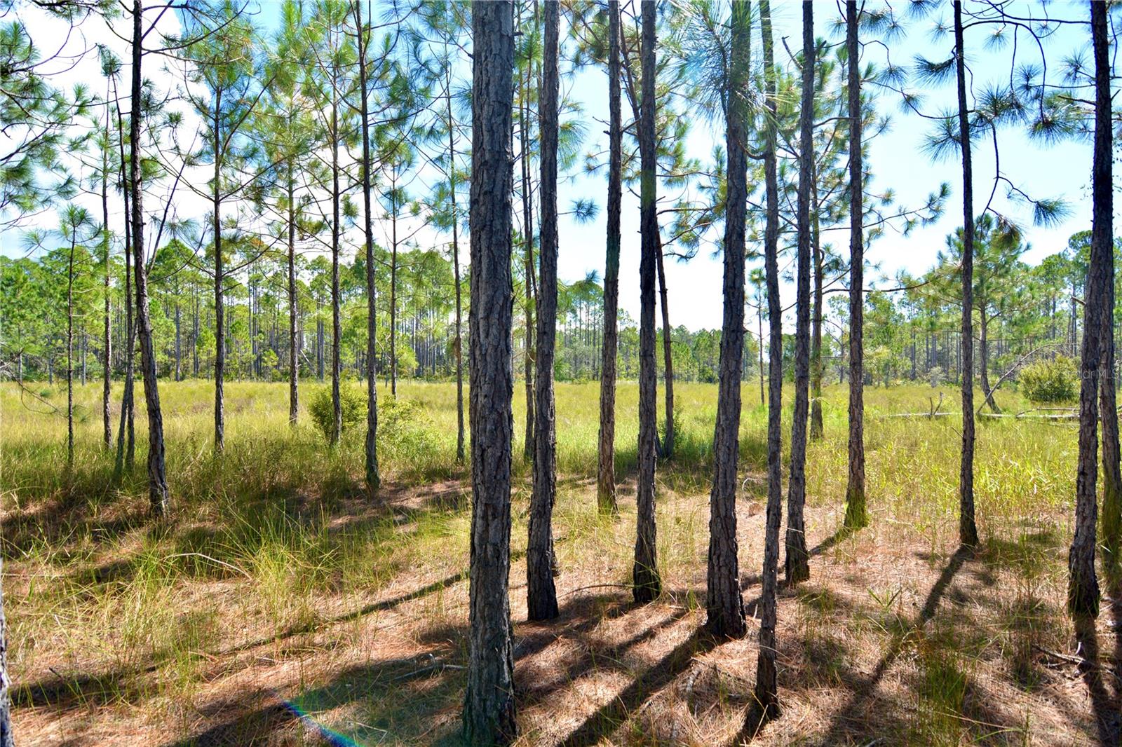 KEY DEER CT,, PERRY, FL, 32348