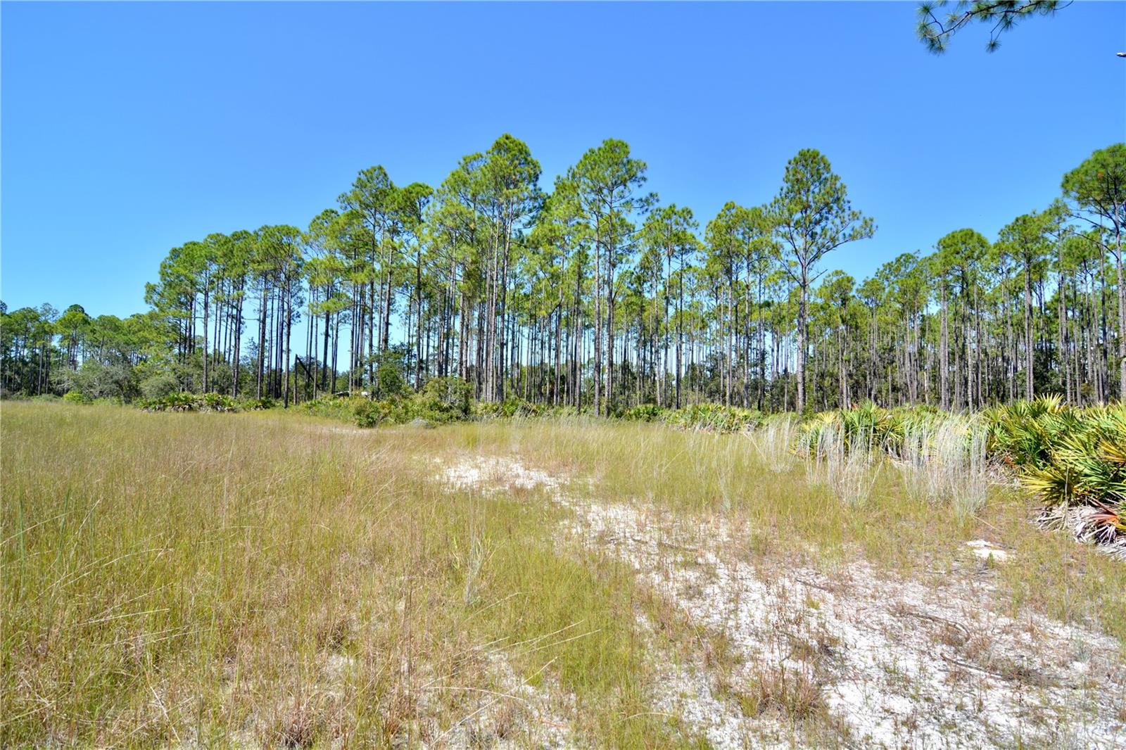 KEY DEER CT,, PERRY, FL, 32348