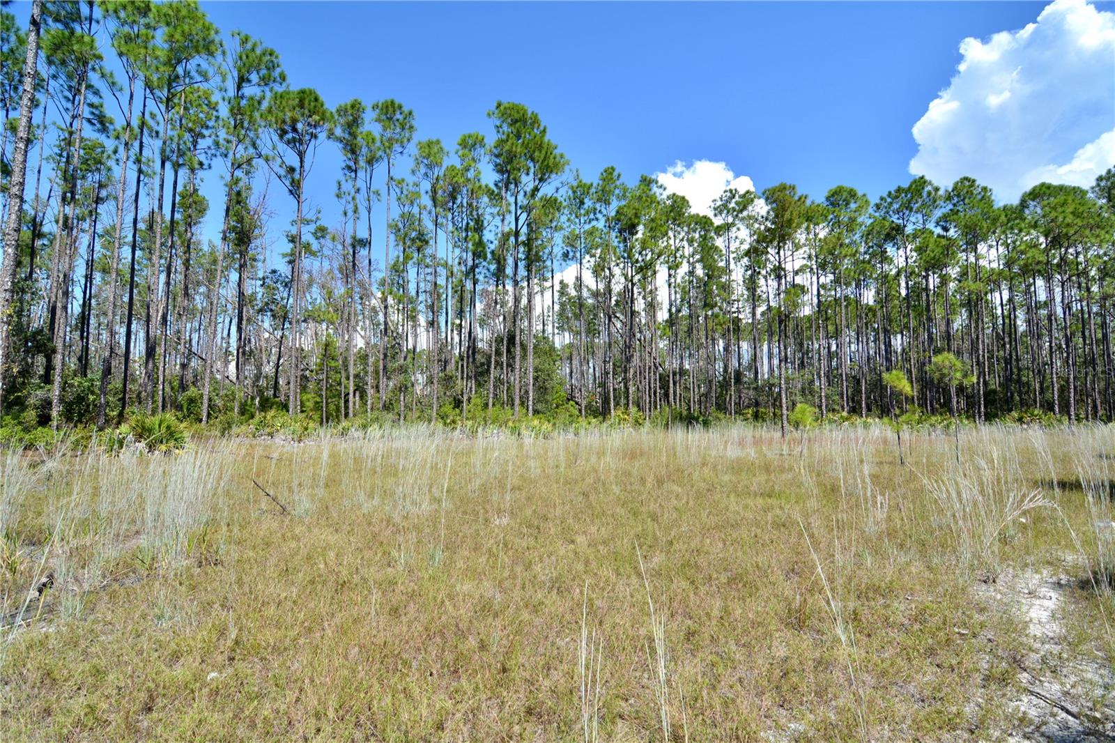 KEY DEER CT,, PERRY, FL, 32348