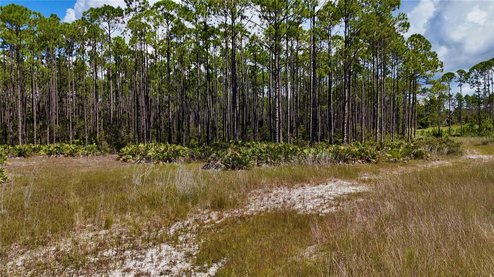 KEY DEER CT,, PERRY, FL, 32348
