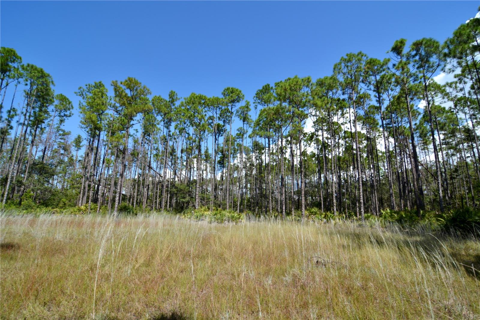 KEY DEER CT,, PERRY, FL, 32348