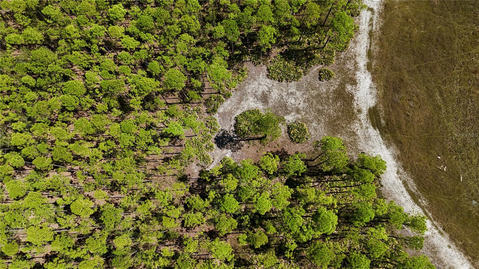 KEY DEER CT,, PERRY, FL, 32348