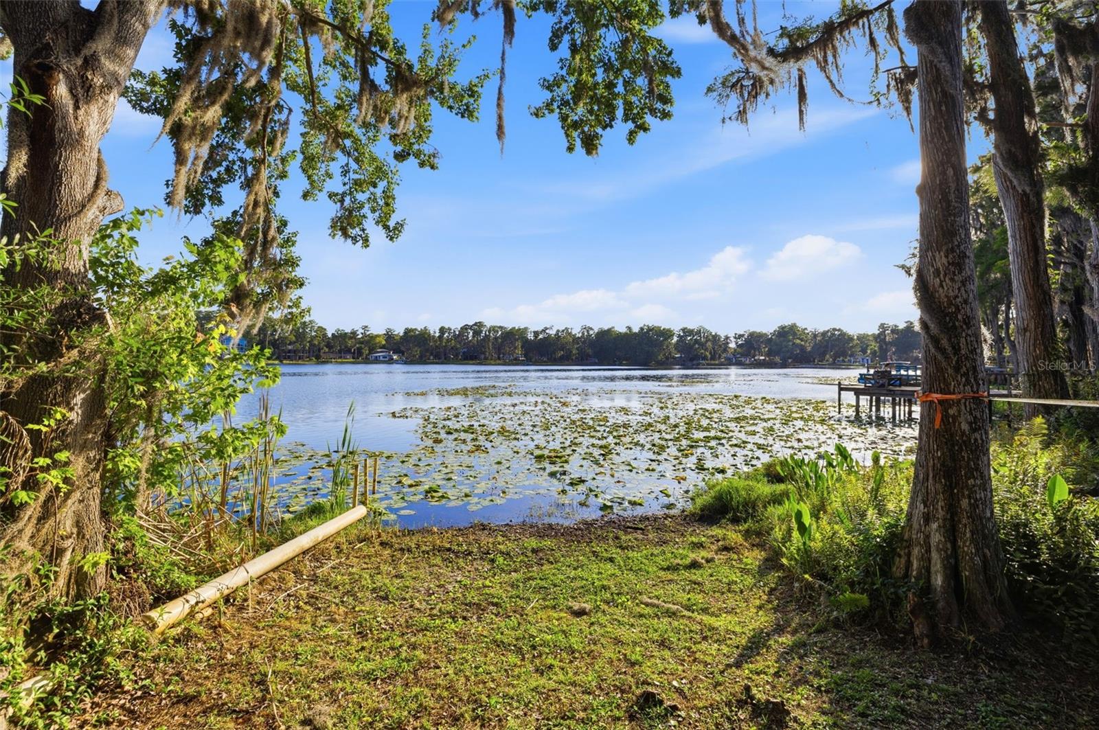 14702 BLUESTONE LN, ODESSA, FL, 33556