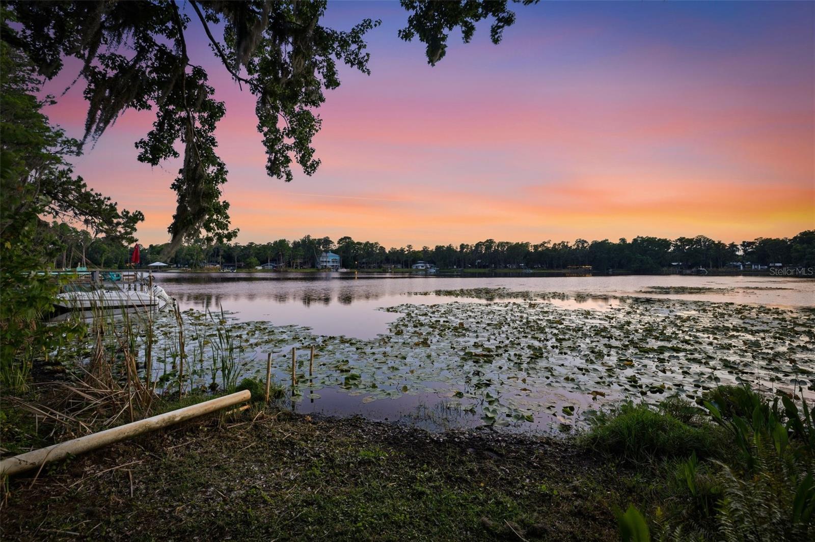 14702 BLUESTONE LN, ODESSA, FL, 33556
