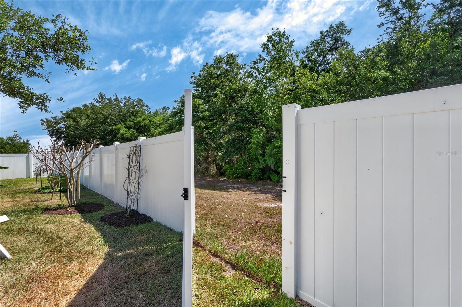 13017 SATIN LILY DR, RIVERVIEW, FL, 33579