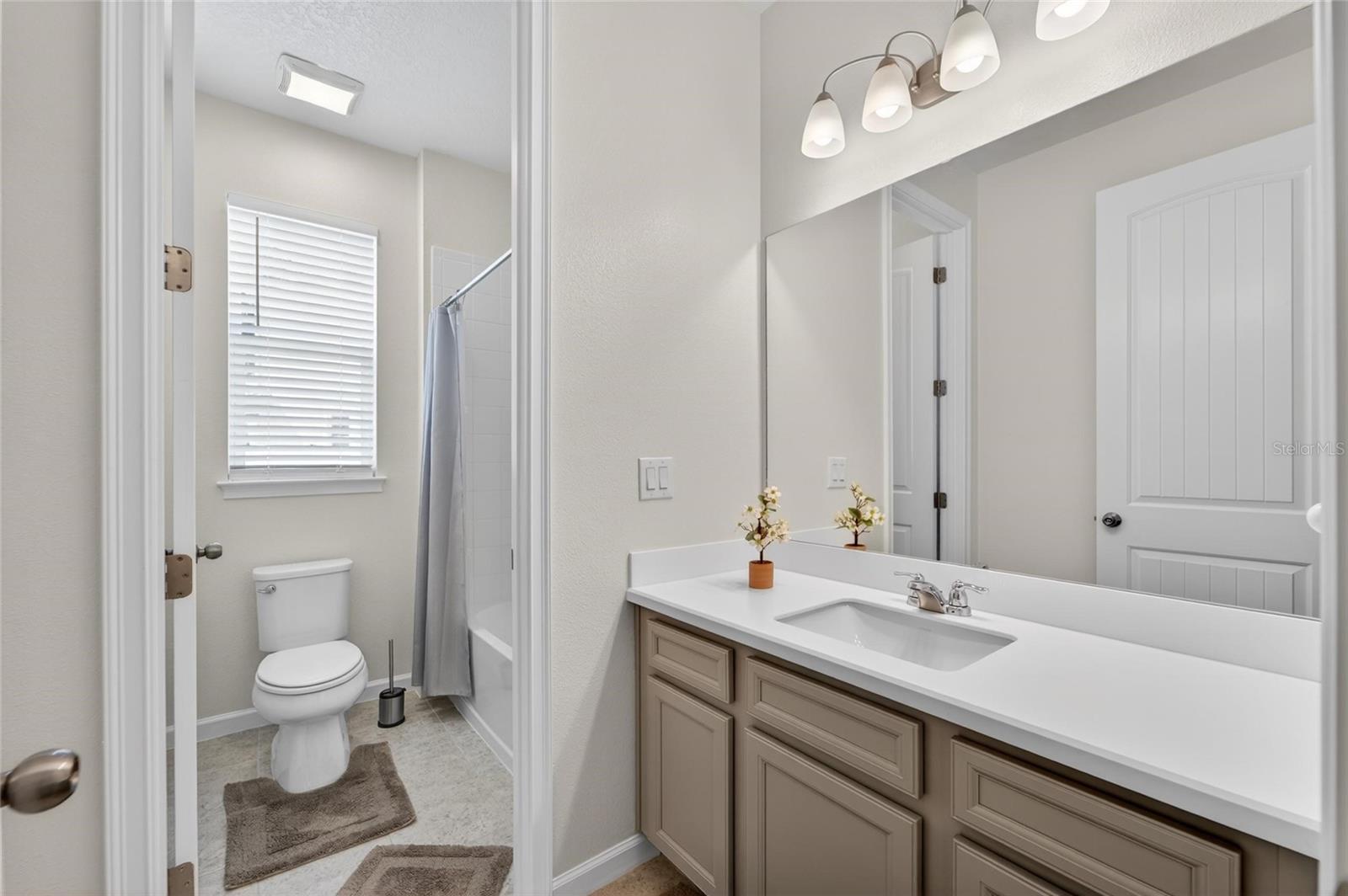 13017 SATIN LILY DR, RIVERVIEW, FL, 33579