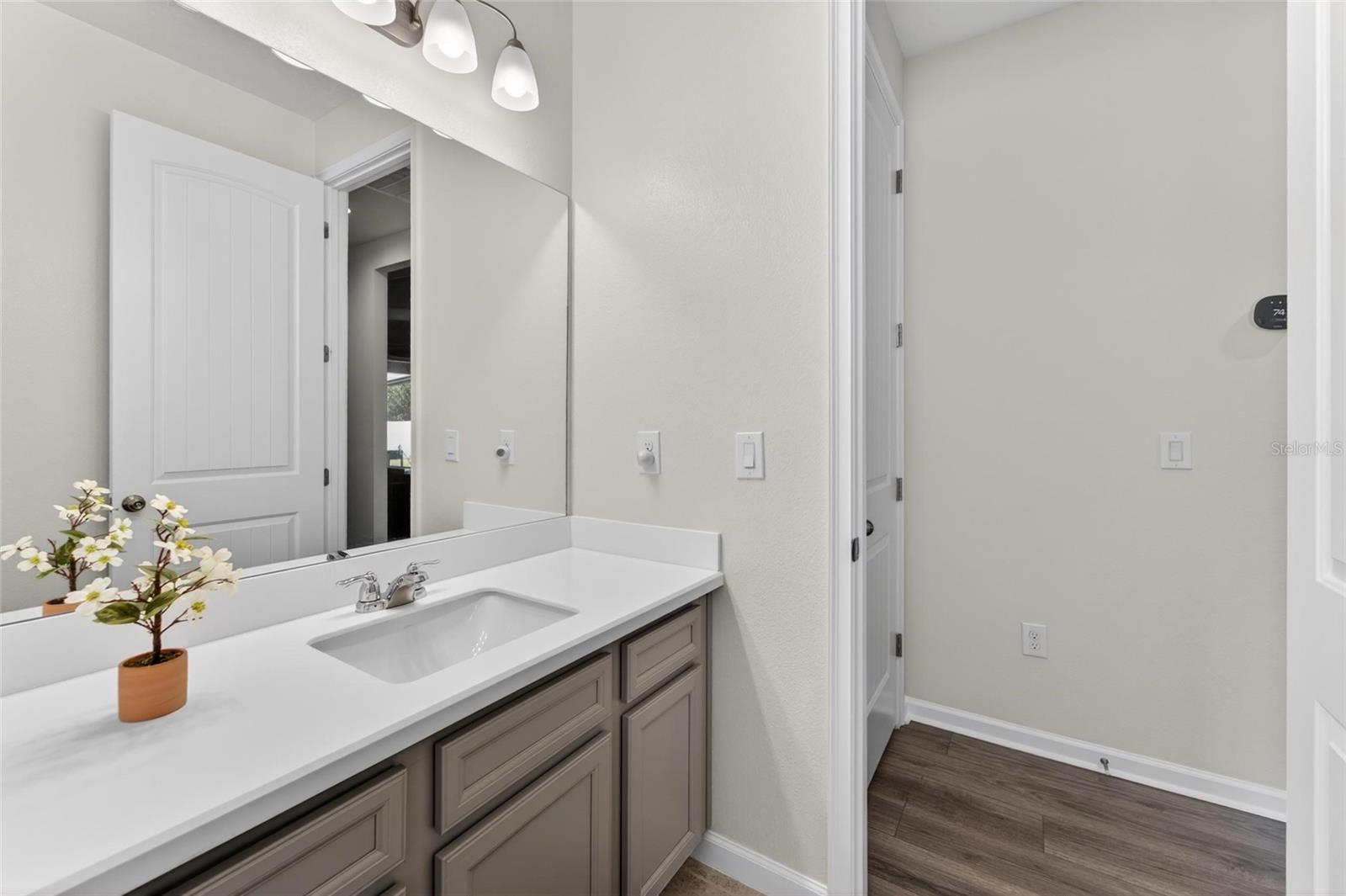 13017 SATIN LILY DR, RIVERVIEW, FL, 33579