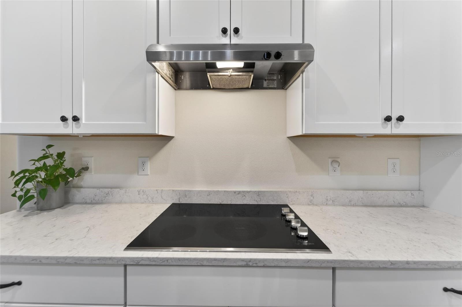 13017 SATIN LILY DR, RIVERVIEW, FL, 33579