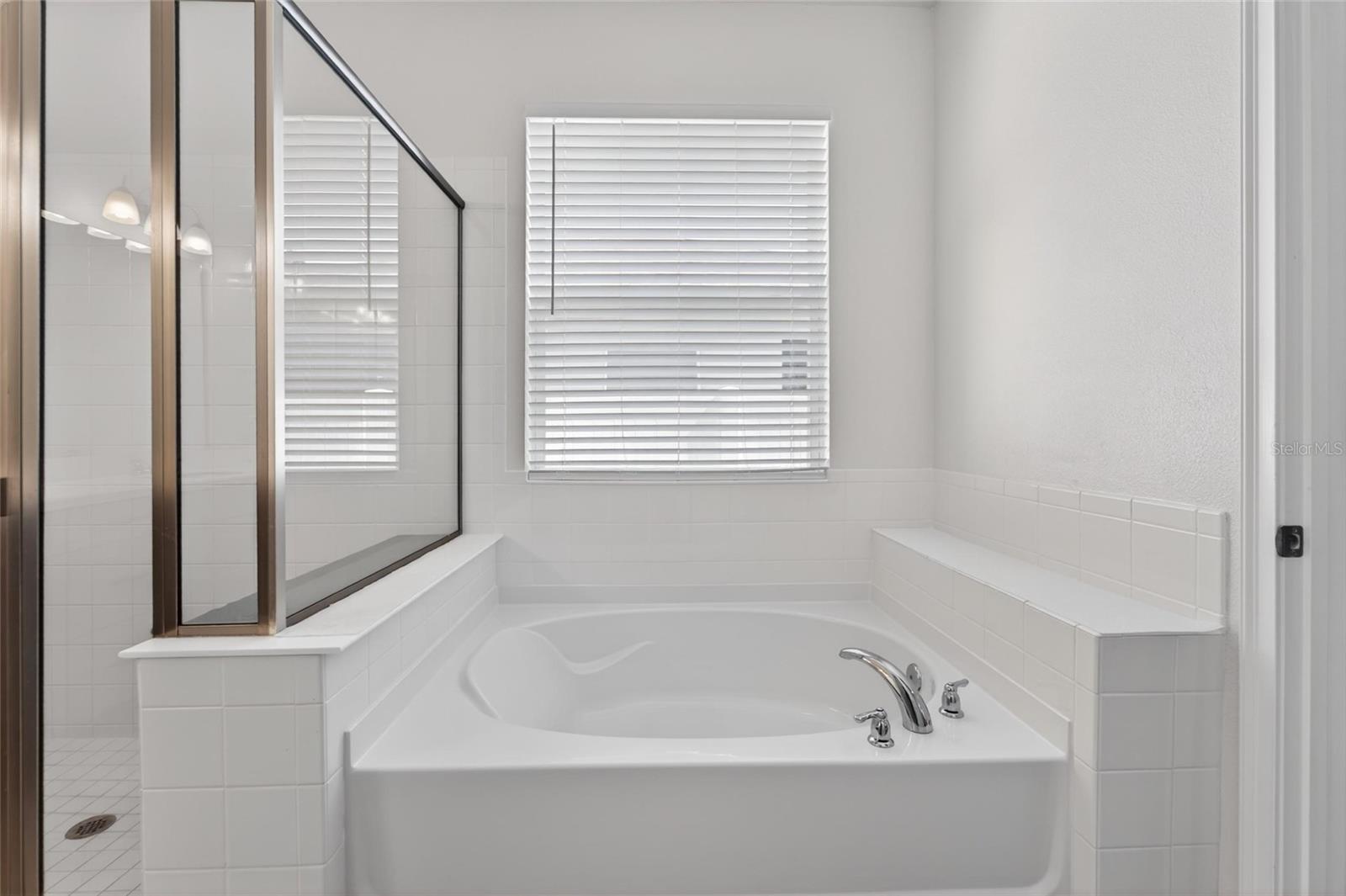 13017 SATIN LILY DR, RIVERVIEW, FL, 33579