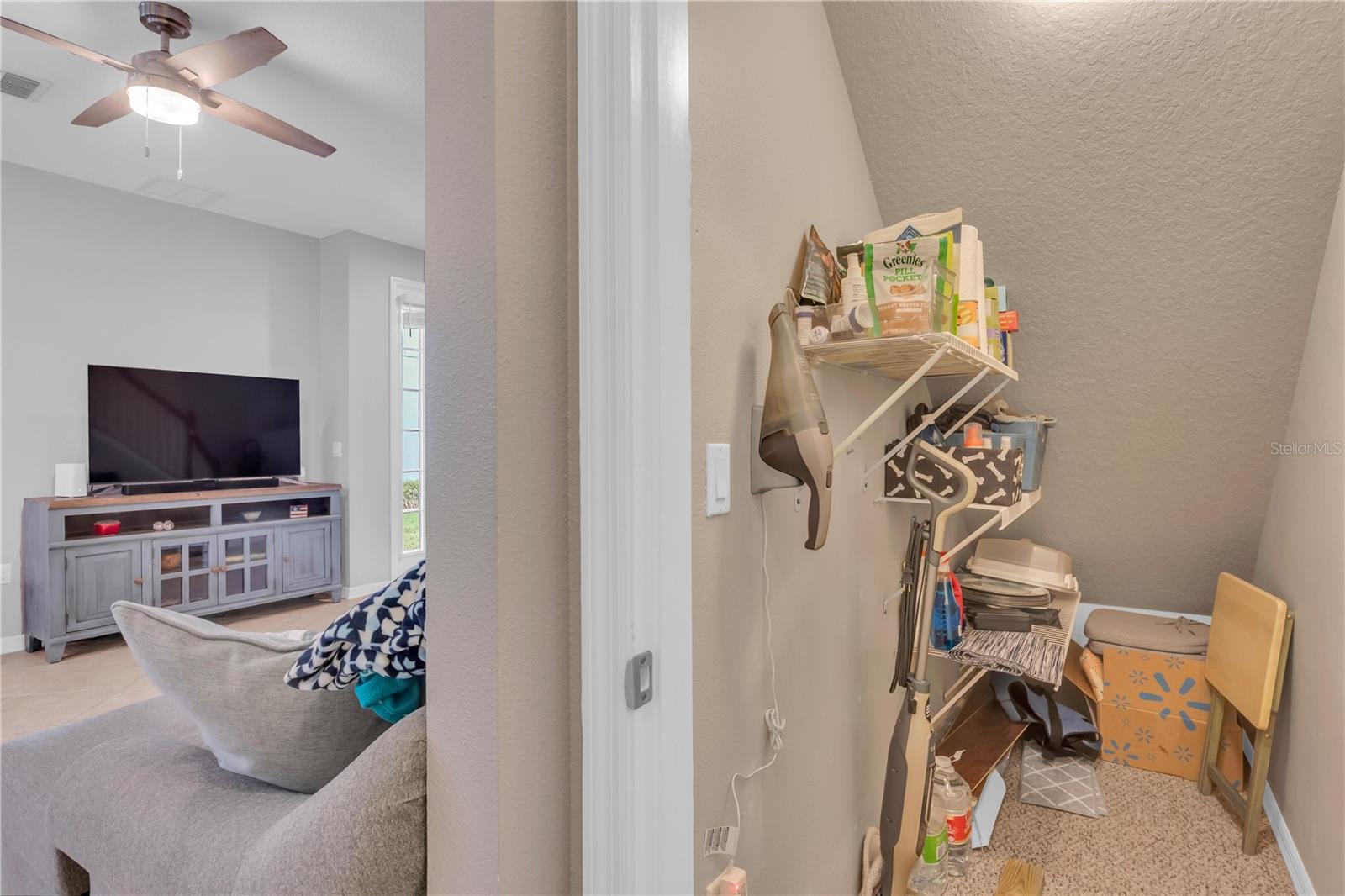 306 REED GRASS DR, OVIEDO, FL, 32765