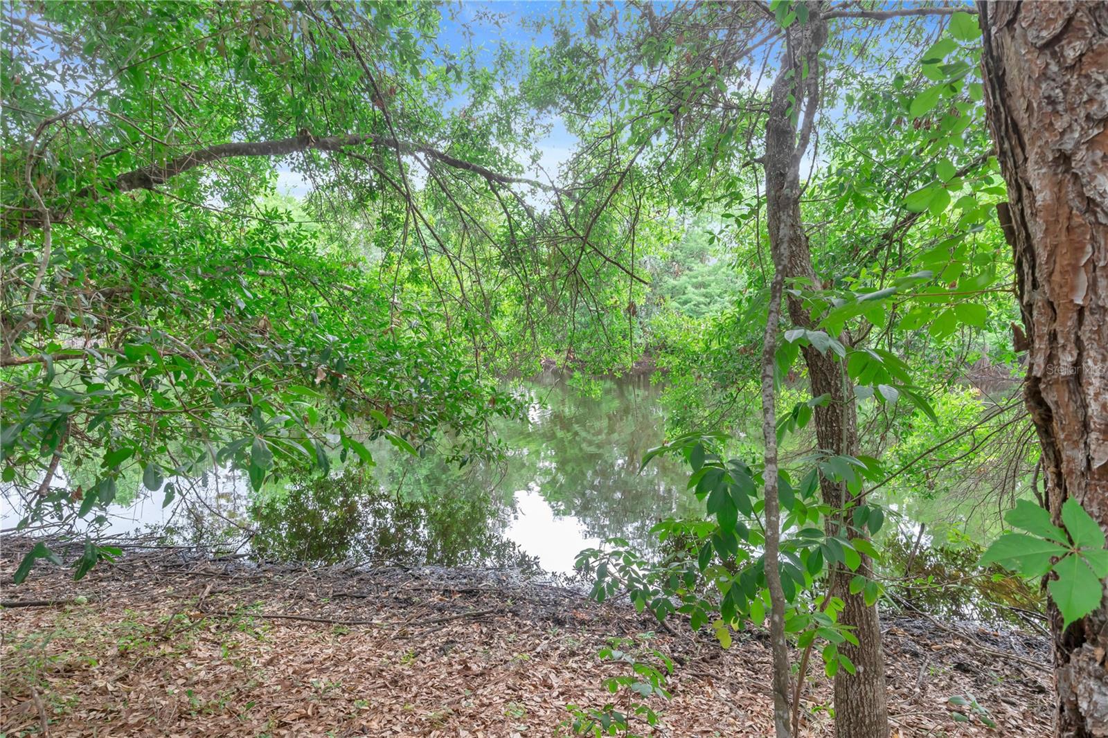 306 REED GRASS DR, OVIEDO, FL, 32765