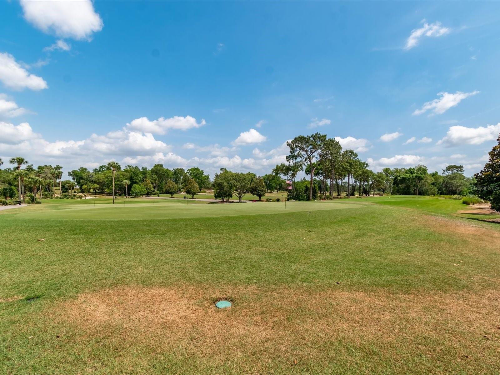 6704 SW 179TH COURT RD, DUNNELLON, FL, 34432