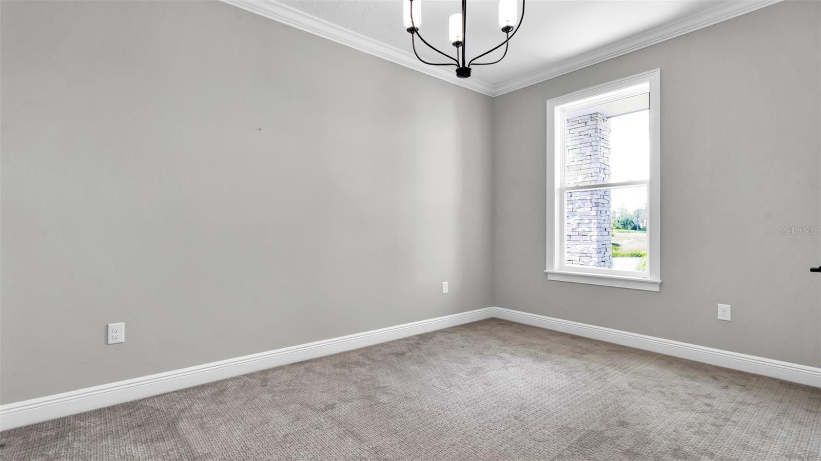 3725 TEA LEAF ALY, LAND O LAKES, FL, 34638