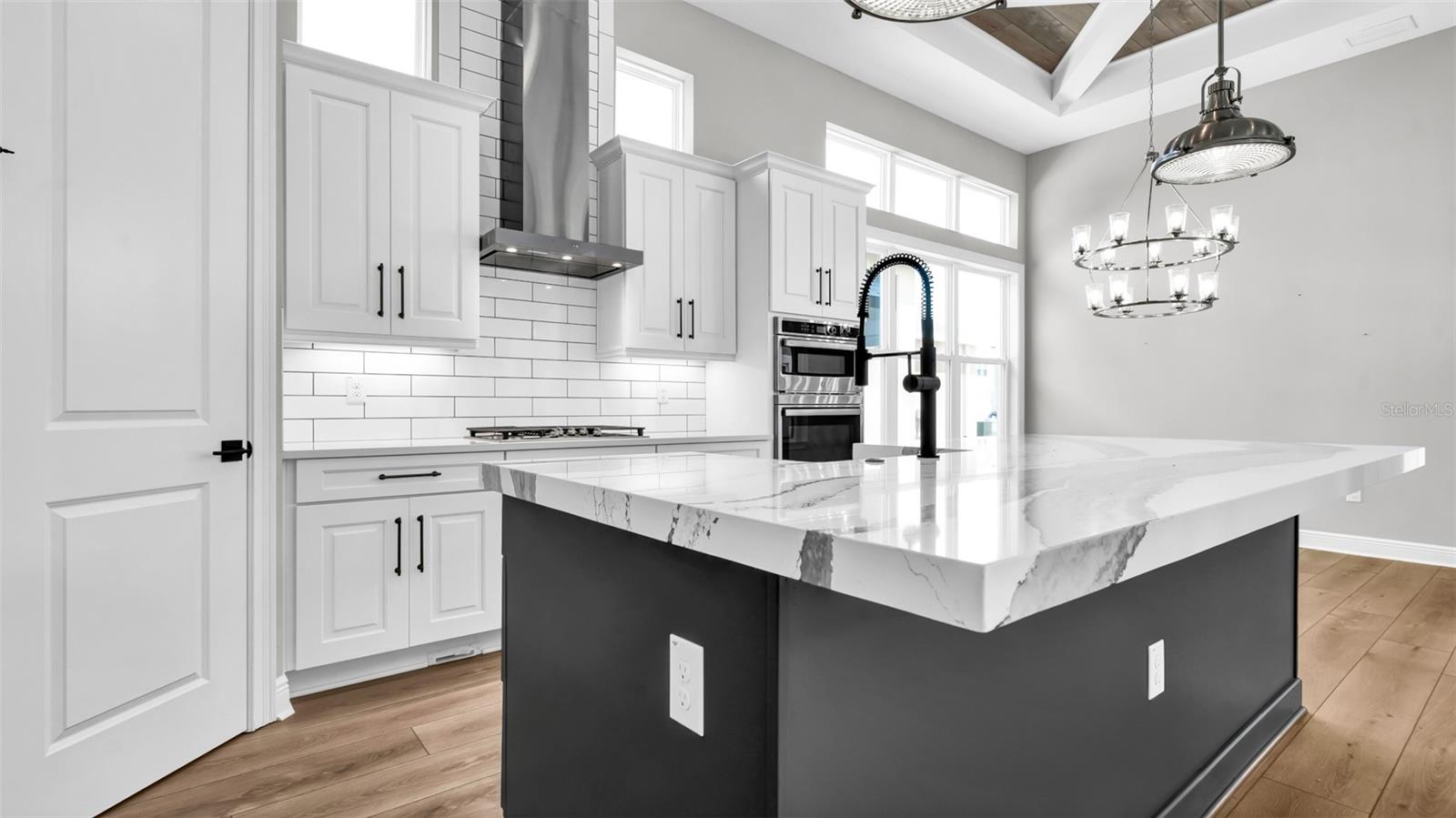 3725 TEA LEAF ALY, LAND O LAKES, FL, 34638