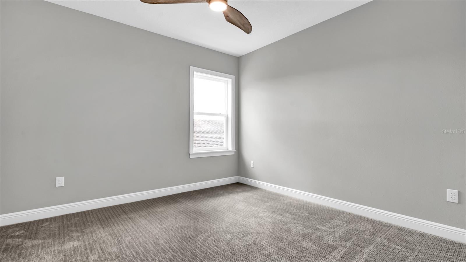 3725 TEA LEAF ALY, LAND O LAKES, FL, 34638