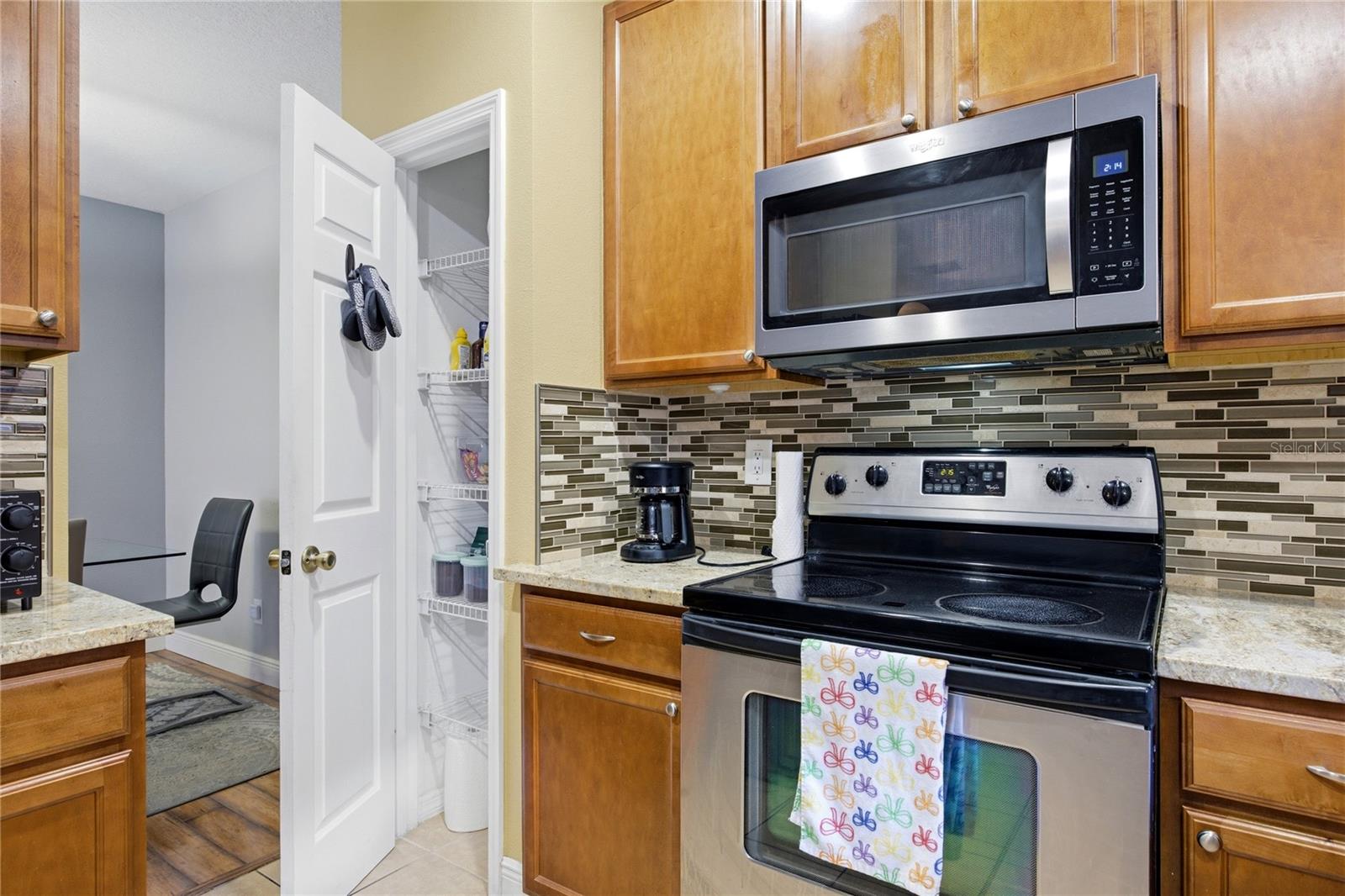 1033 BLACKWATER DR, WESLEY CHAPEL, FL, 33543
