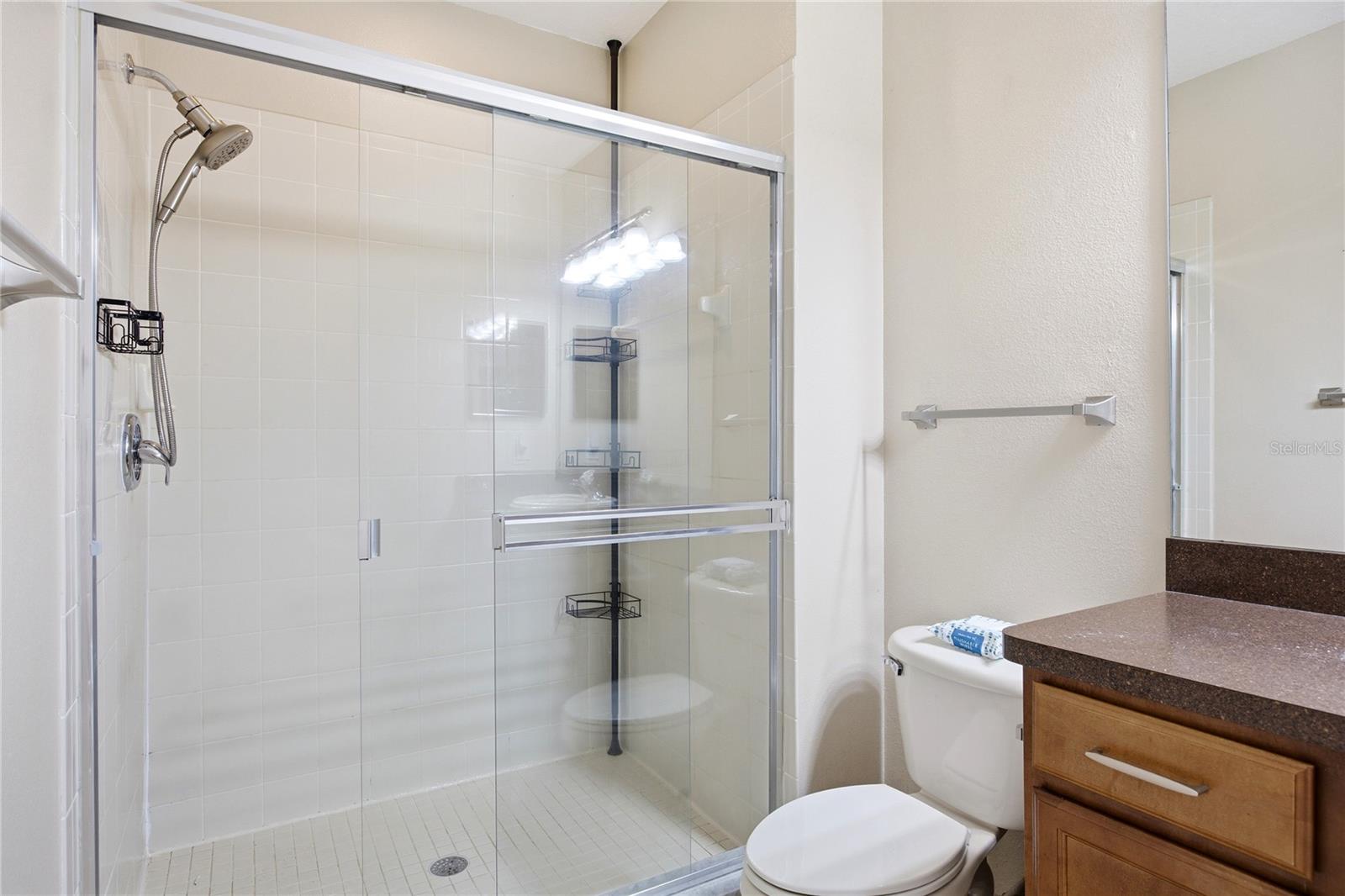 1033 BLACKWATER DR, WESLEY CHAPEL, FL, 33543